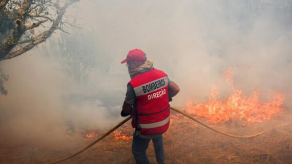 Read more about the article Camião dos bombeiros consumido pelas chamas em Penalva do Castelo