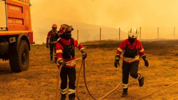 Read more about the article Incêndio descontrolado. Há casas na linha de fogo e um aviário em risco em Castro Daire