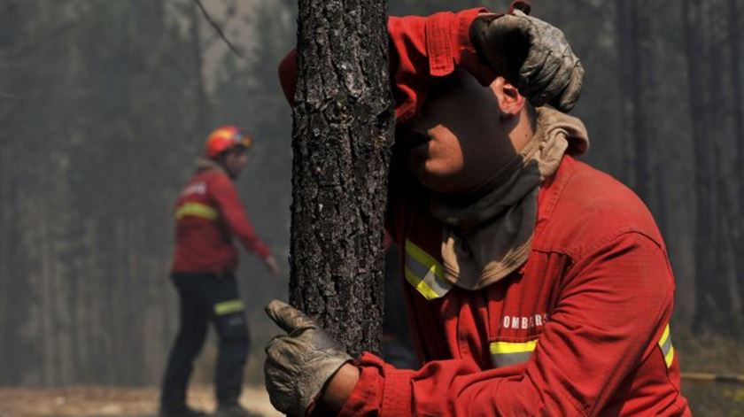 Read more about the article Sónia, Susana e Paulo: Os bombeiros que perderam a vida no combate às chamas em Nelas